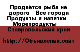 Продаётся рыба не дорого - Все города Продукты и напитки » Морепродукты   . Ставропольский край